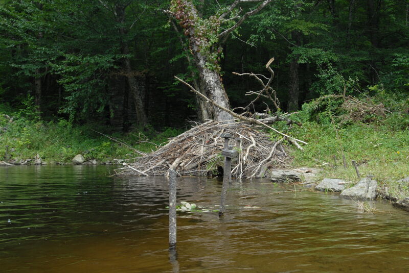 Former Dam Site