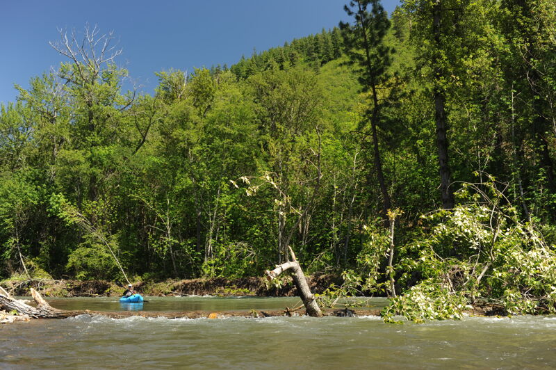 Riverwide Log