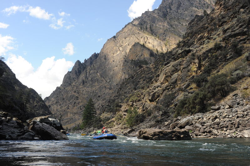 Devil's Molar Rapid