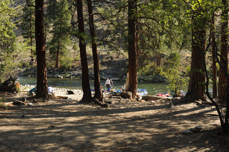 Upper Jackass Flat Camp (RR)