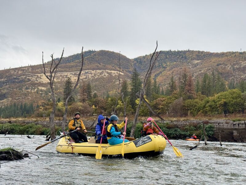 Raft Through the Ghost Forest