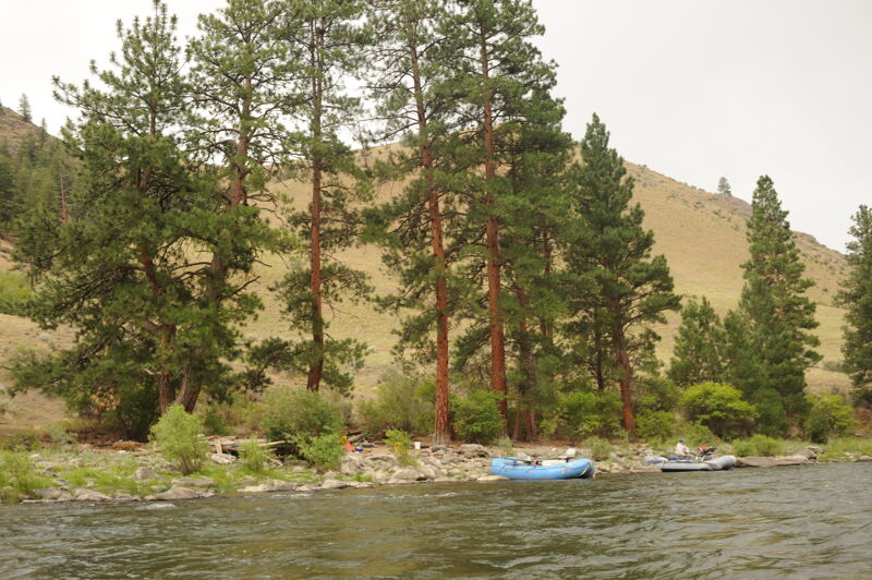 Cow Creek Camp (RR)