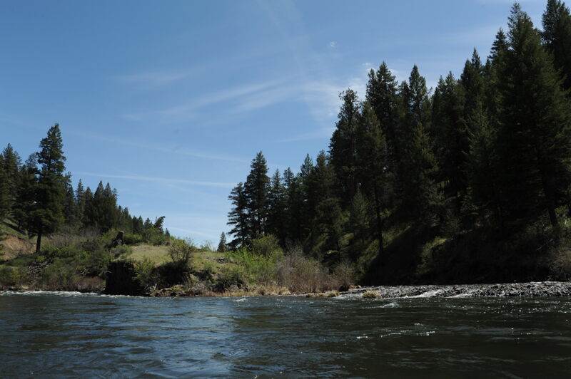 Tollbridge Campground