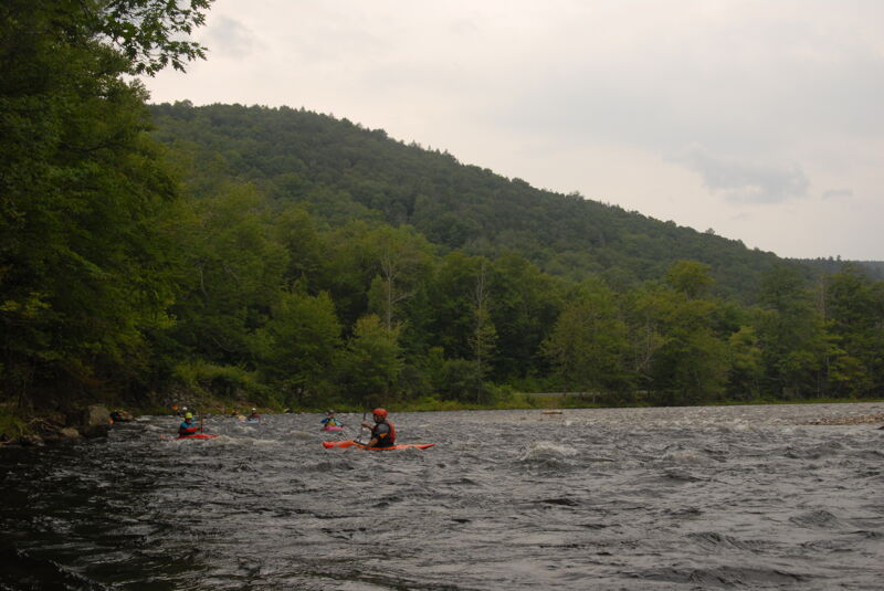 Cruising Down Fife Brook