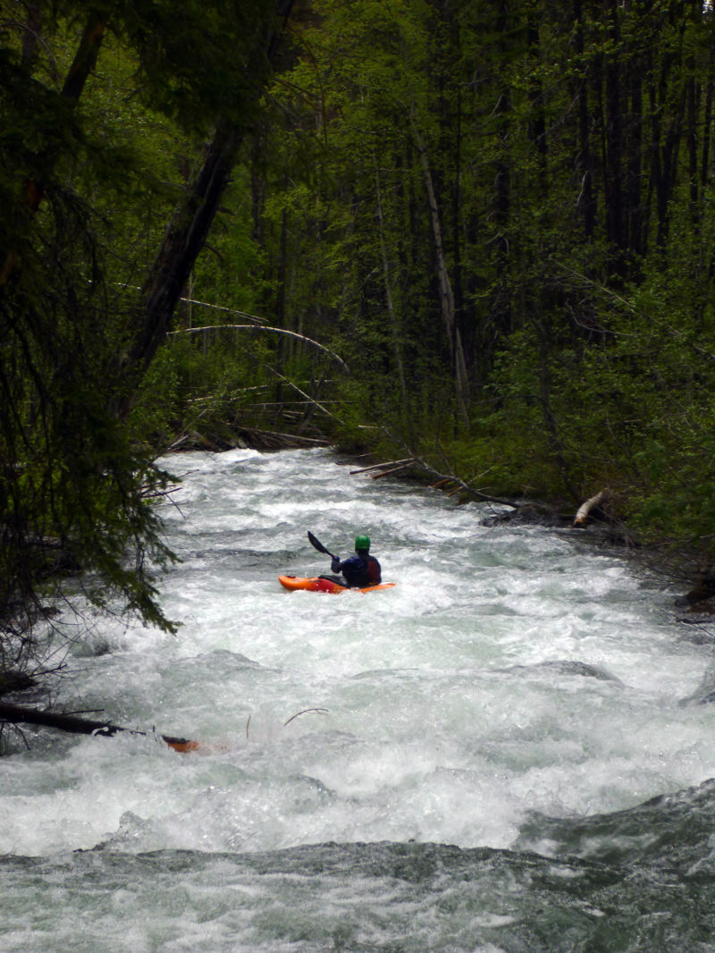 Lower Rapids