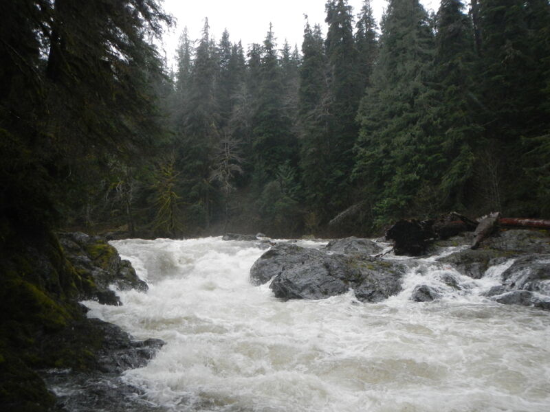 High Water on the Sol Duc - 22.86'
