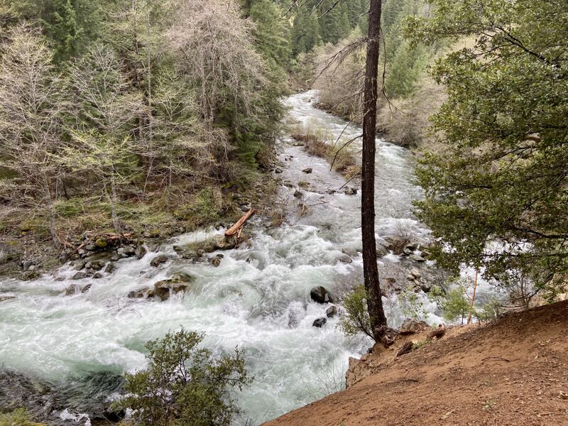 Rapid near beginning