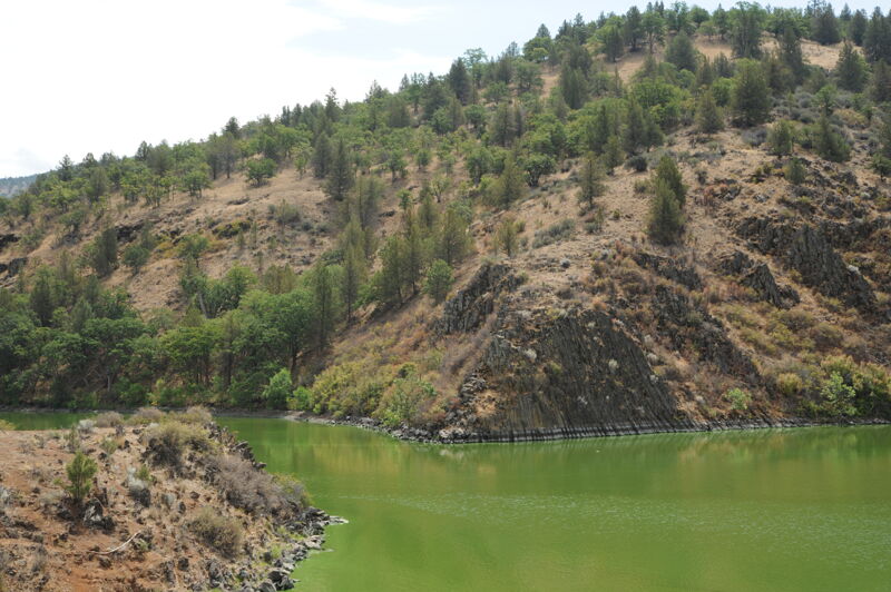 Basalt Pinch Algal Bloom