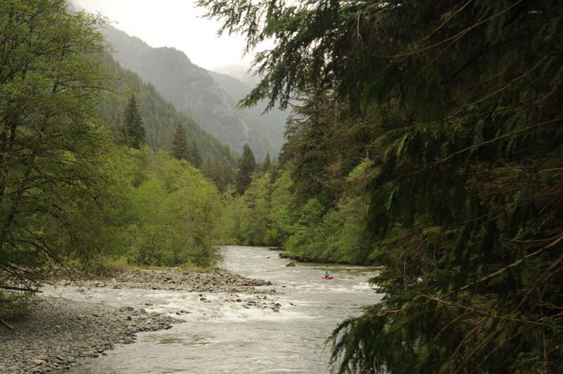 Taylor River Rapid