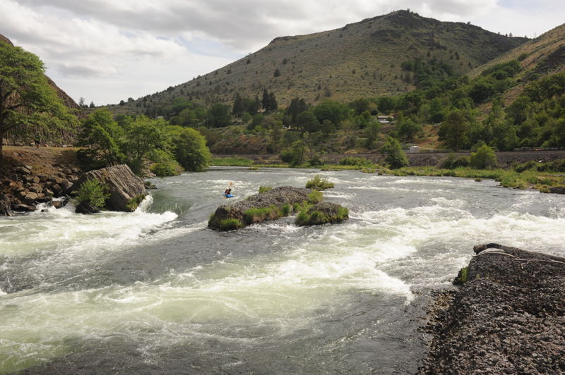 Oak Springs Rapid