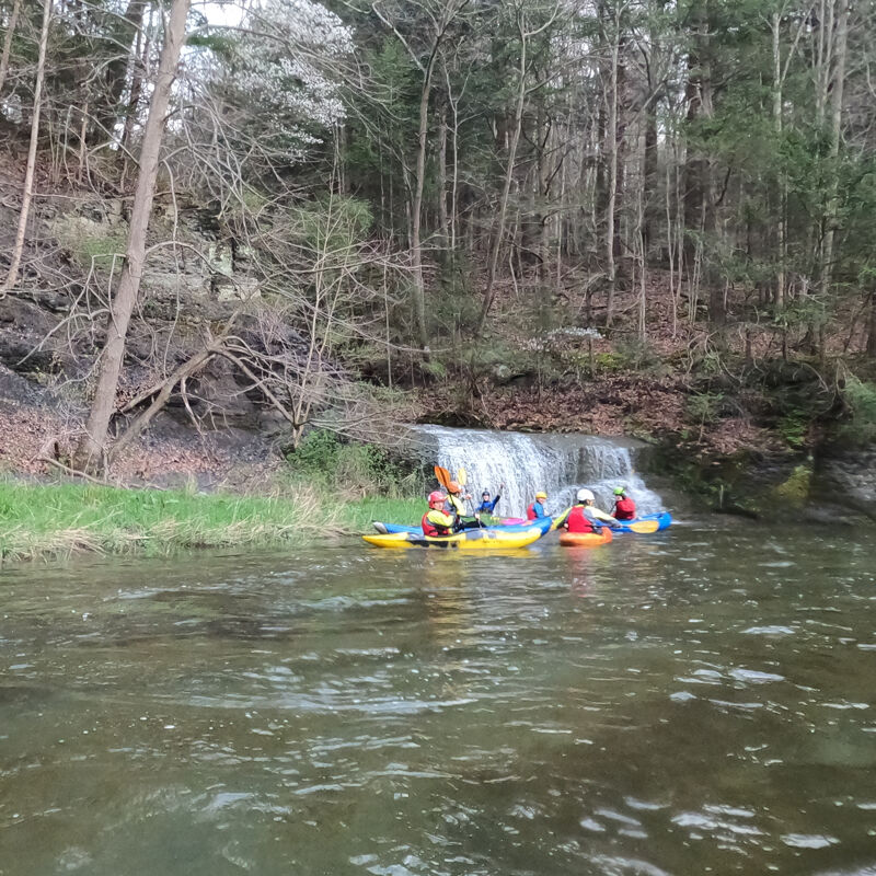 salmon creek @250