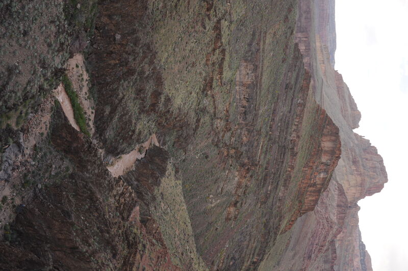 The View Into Shinumo Creek