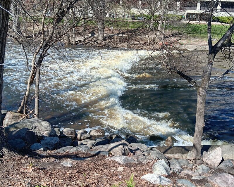 Red Cedar at 870 CFS