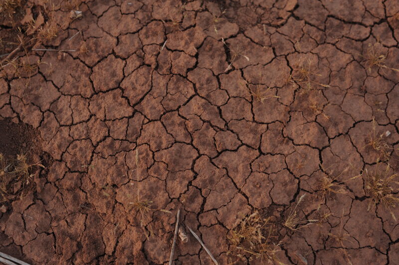 Former Reservoir Sediments