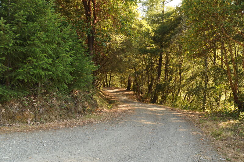 Green River Riffle River Access Road