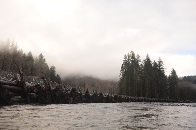 Engineered Log Structures at Gold Basin