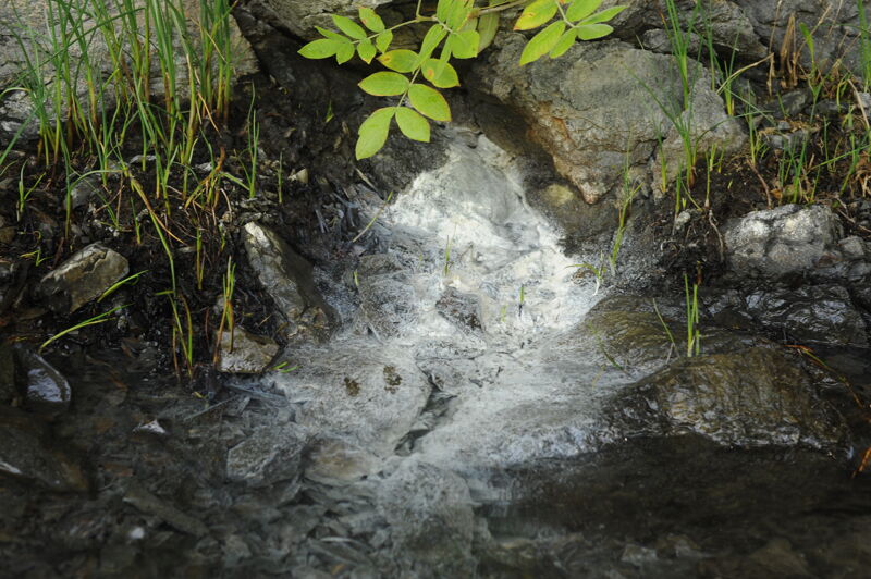 Mineral Spring