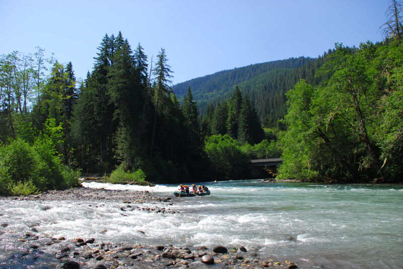 Whitechuck Confluence with the Sauk