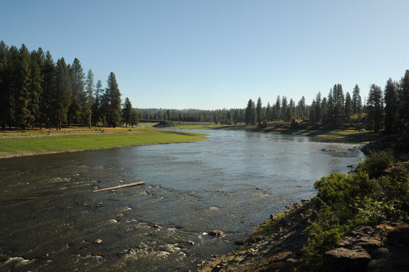 Pioneer Park