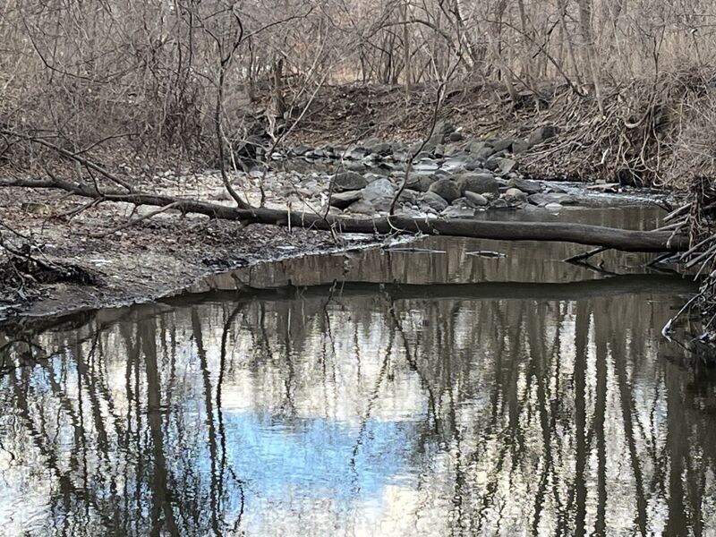 Shoals (deadfall area)