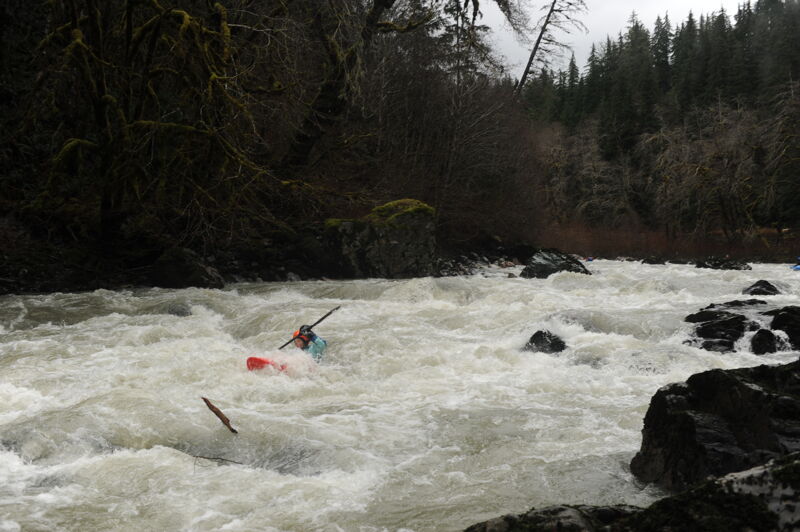 Emma in Wiley Creek Rapid