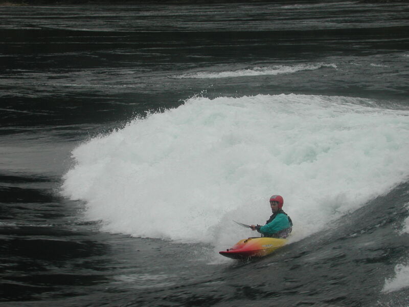 Surfing Skook