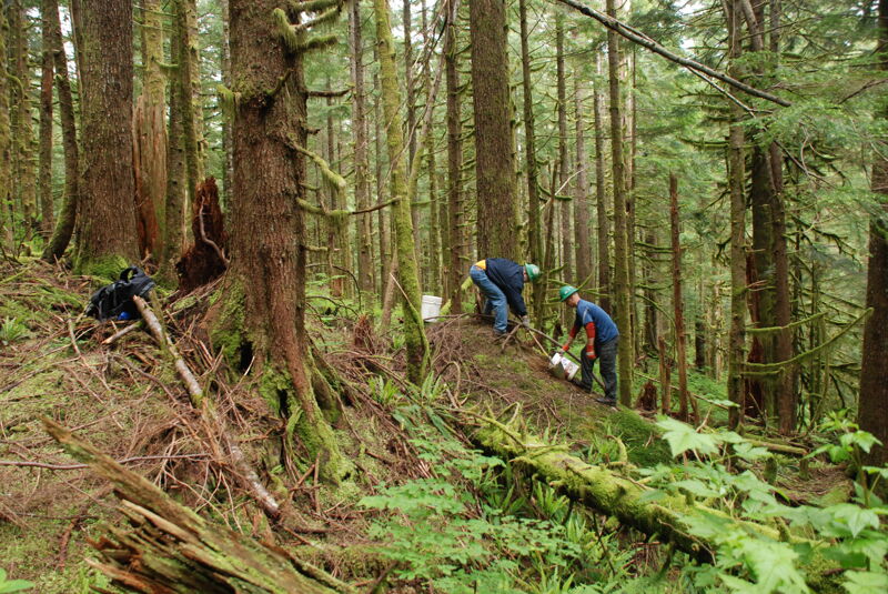 Construction of the Trail