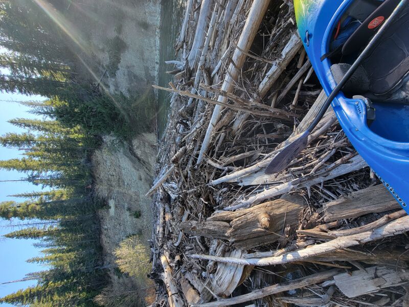 Log jam