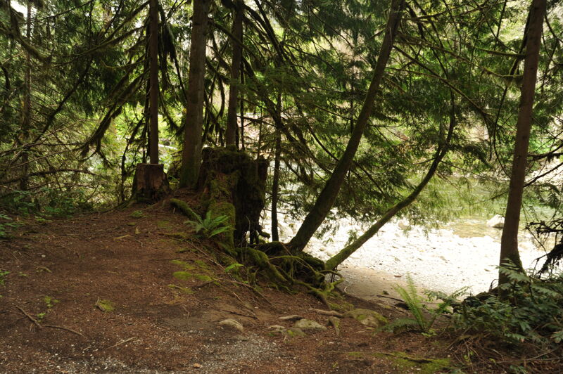 Money Creek Campground Day-Use Area