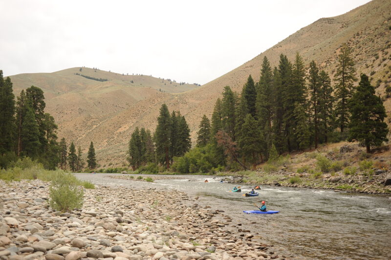 Jackass Rapid