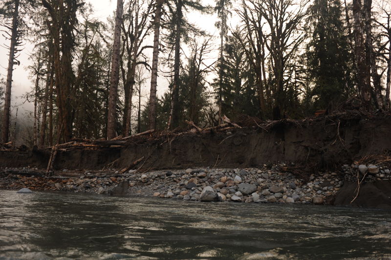 Engineered Log Structures at Gold Basin