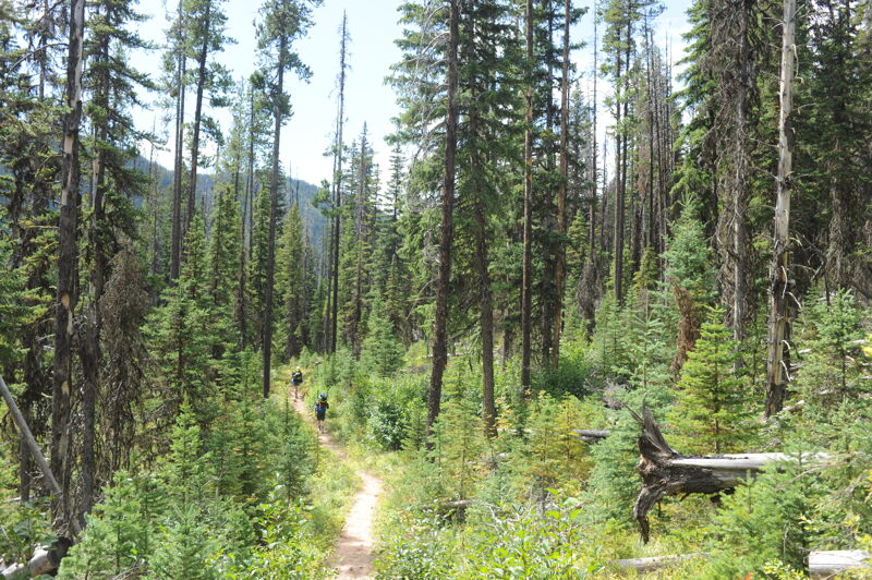 Hiking in on the Granite Creek Trail