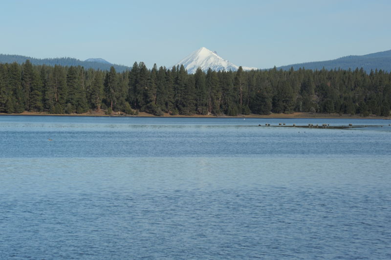 Pioneer Park East View