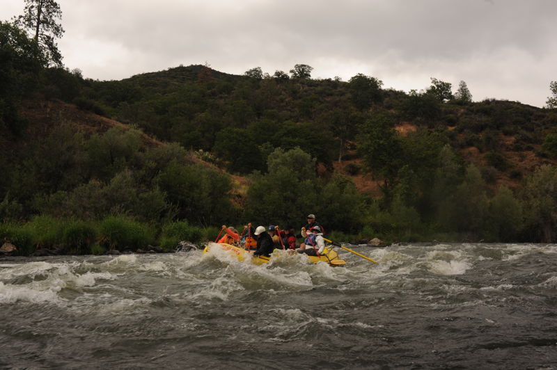 Rapid on Tree of Heaven Run