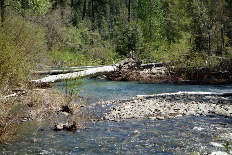 Hazard on Teanaway River