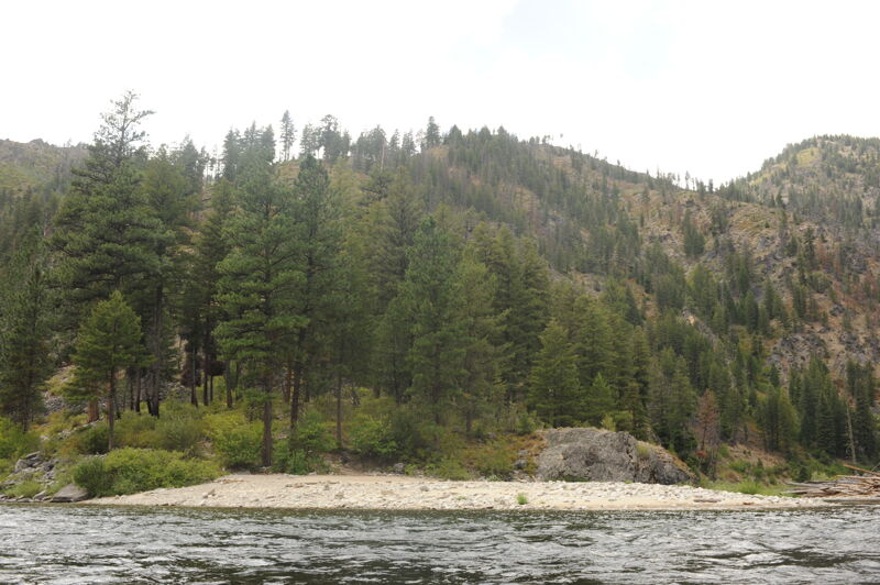 Dolly Lake Camp (RL)