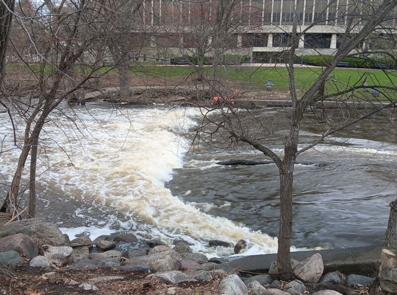 Red Cedar at 1020 CFS