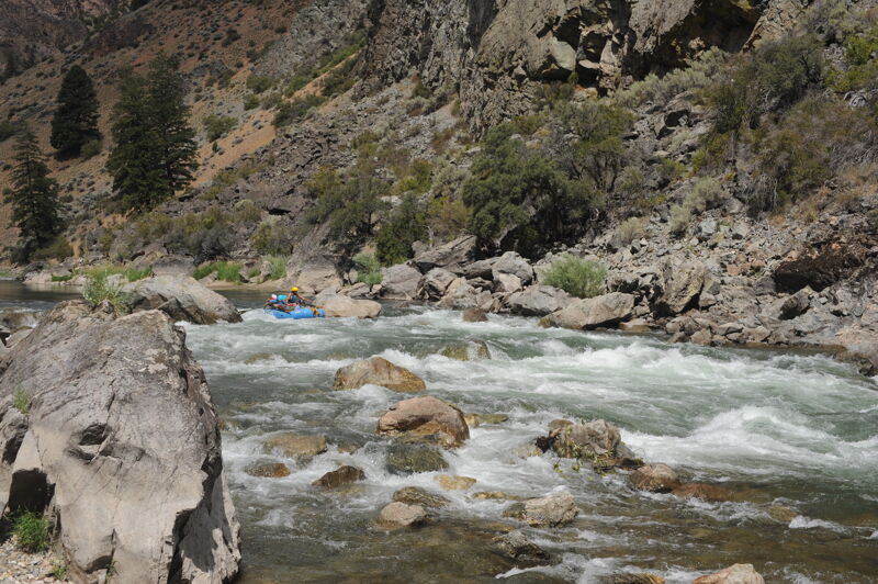 Tappan III Rapid (aka Cove Creek Rapid)
