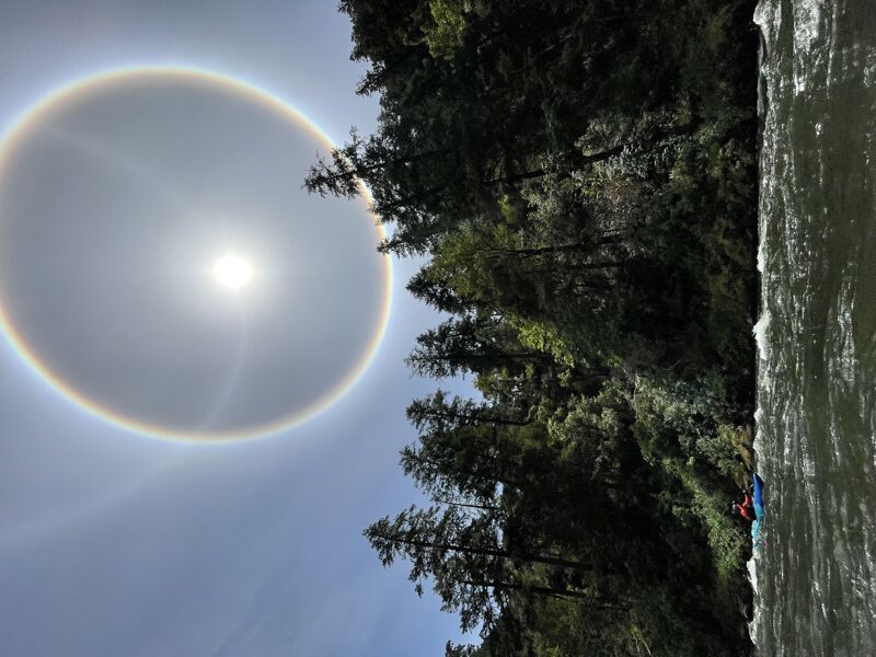 Sun Dog on the Rogue River