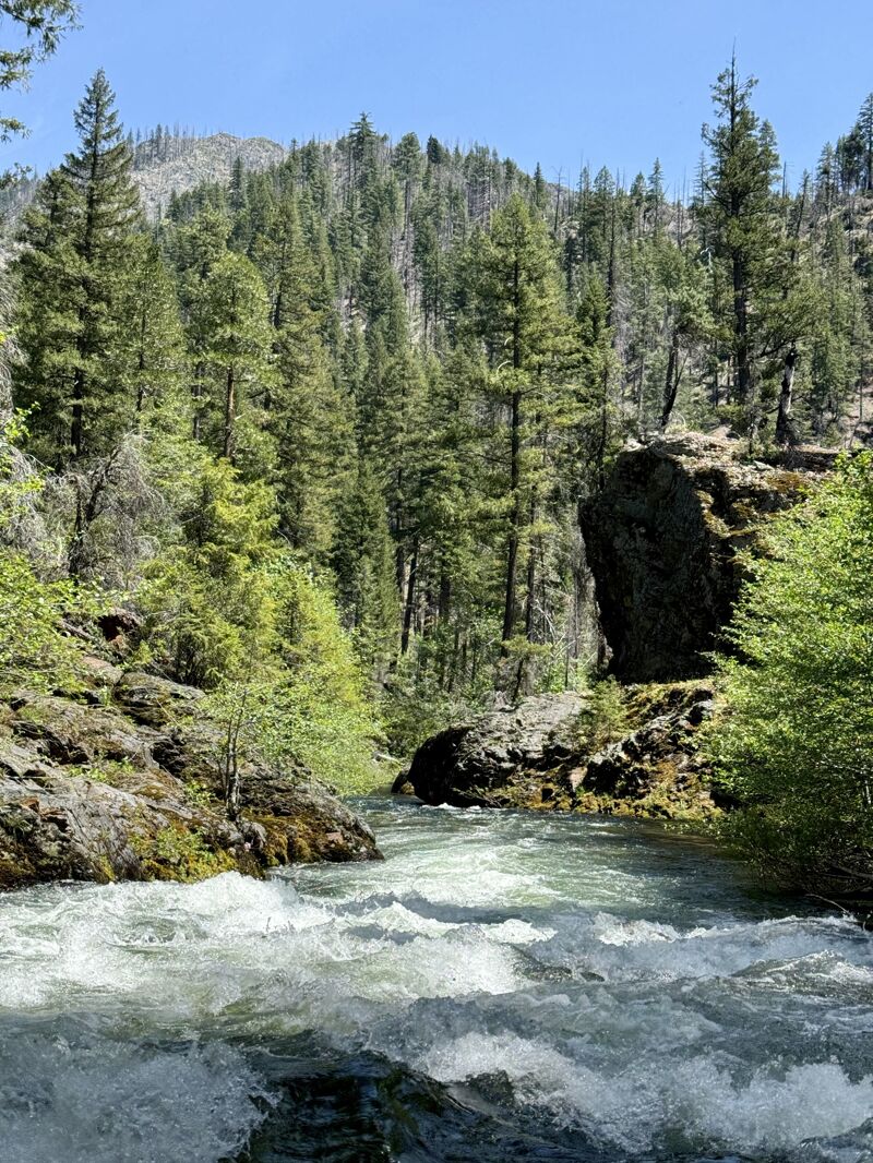 North Fork Salmon River
