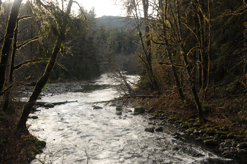 North Fork Confluence