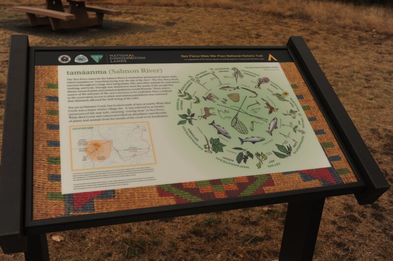 Interpretive Panel