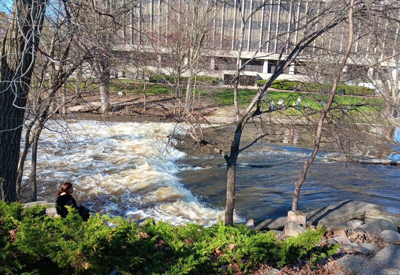 Red Cedar at 1230 CFS