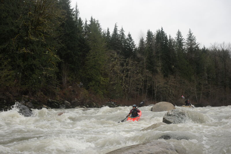 Rapid at Mountain Loop Highway Bridge