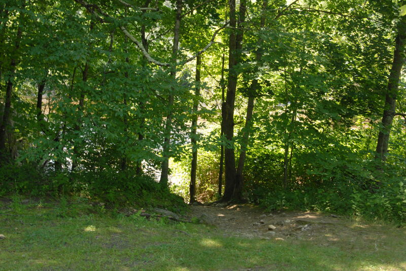 Trail at Shunkpike Rest Area