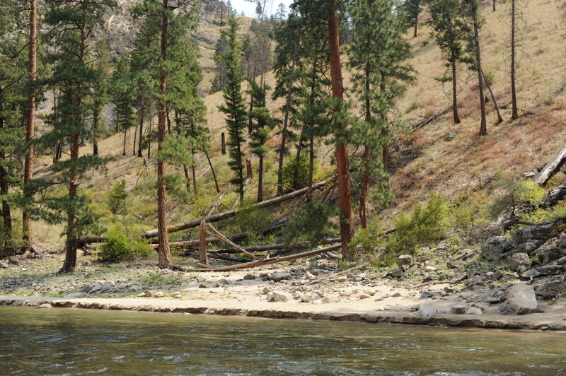 Big Pine Camp (RR)