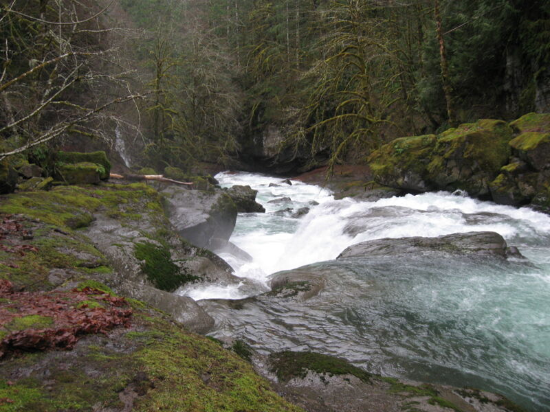 3 Swim Falls