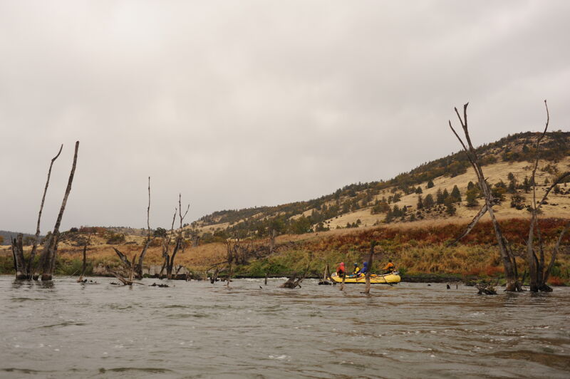 Raft Through the Ghost Forest