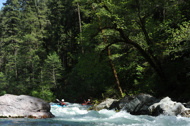 McCloud River whitewater