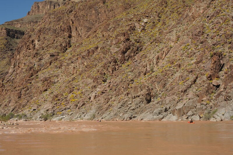Diamond Creek Rapid (4)